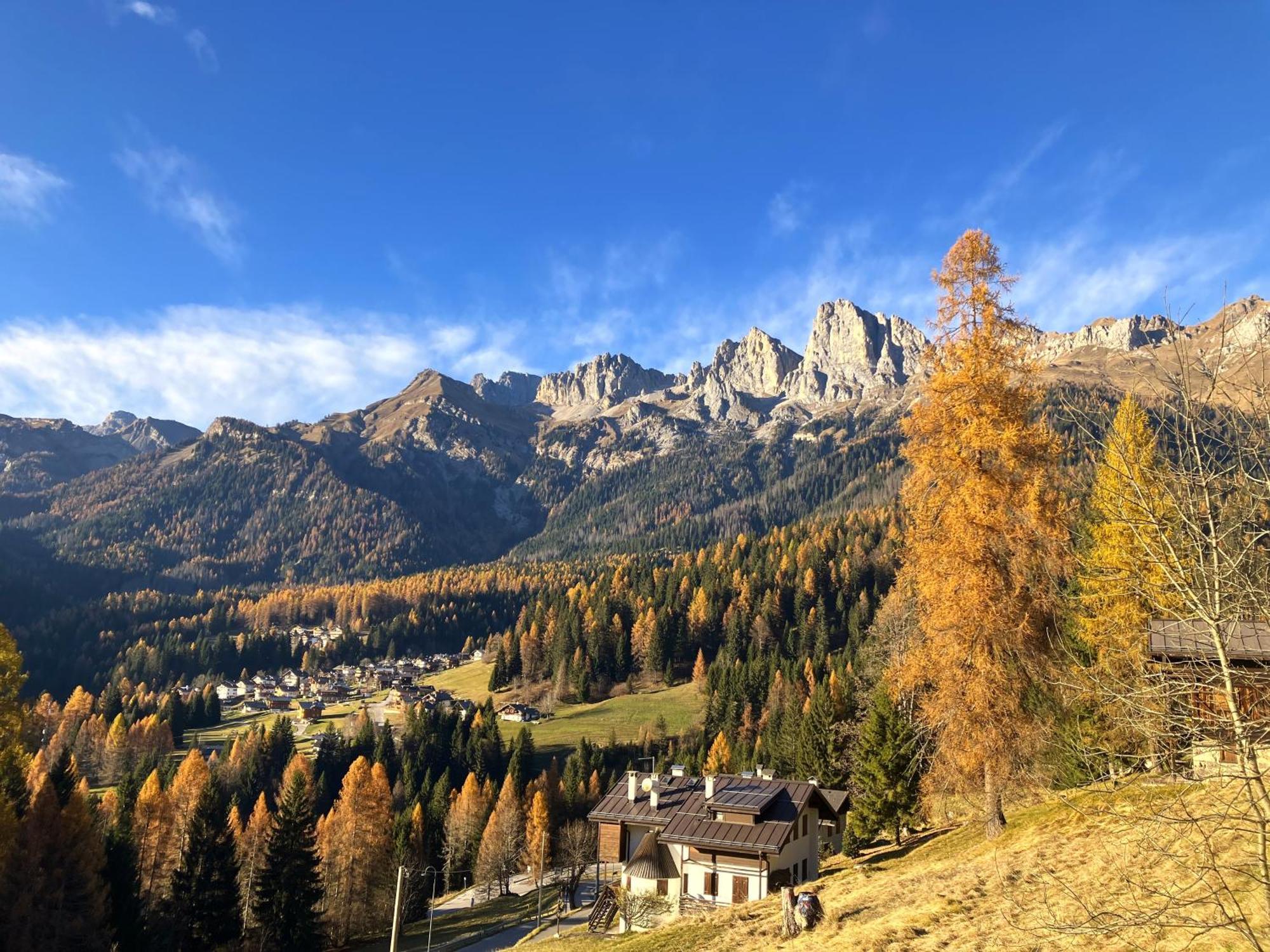 Appartamento Dolomiti Dream 1 ファルカーデ エクステリア 写真